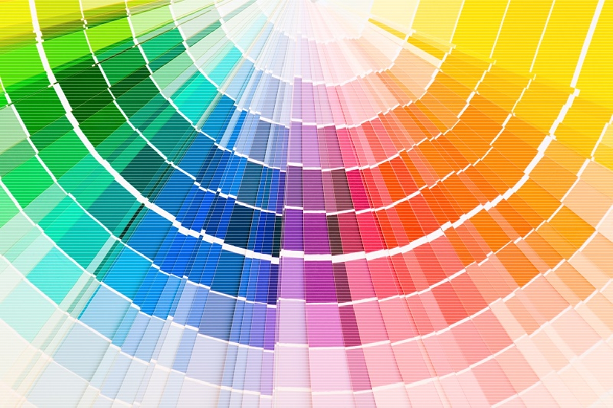 Favori İç Cephe Renk Kartelası Katalogu