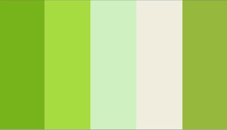 Hangi Renkleri Karıştırırsak Yeşil Olur12