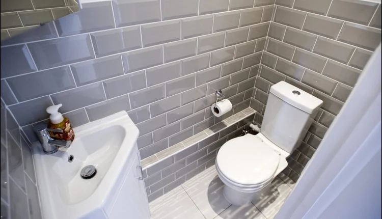 Merdiven Altı Banyo Tuvalet Modelleri8