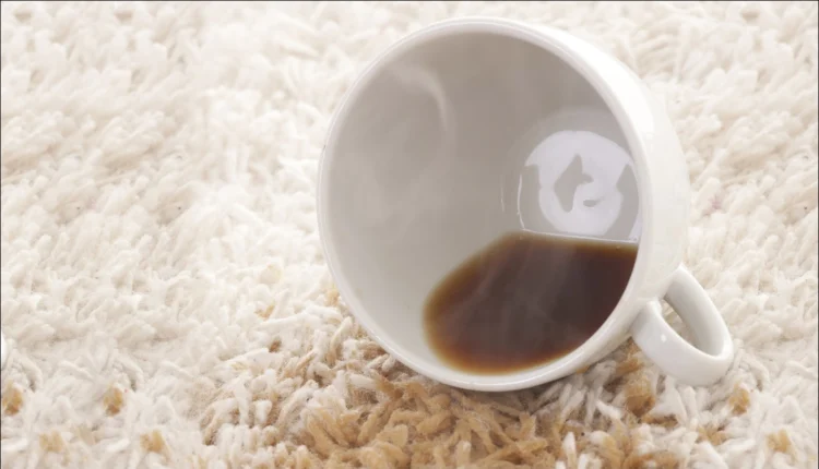 Halıdaki Kurumuş Çay Lekesi Nasıl Çıkar8