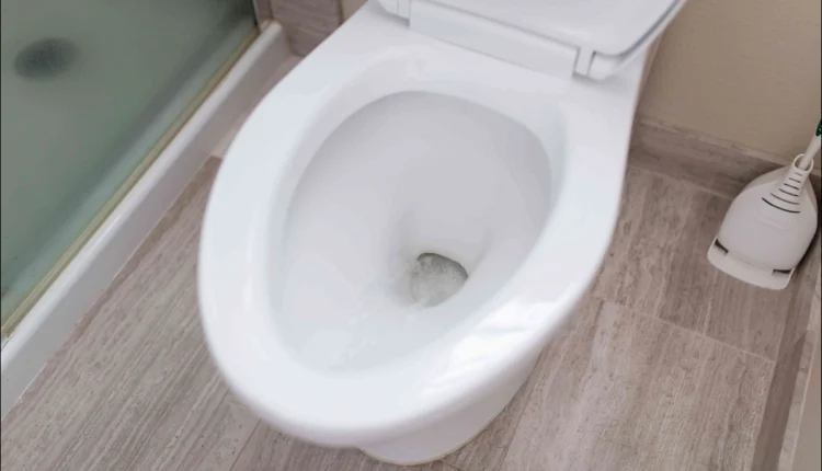 Tuvalet ve Duşakabin Taşı Nasıl Beyazlatılır11