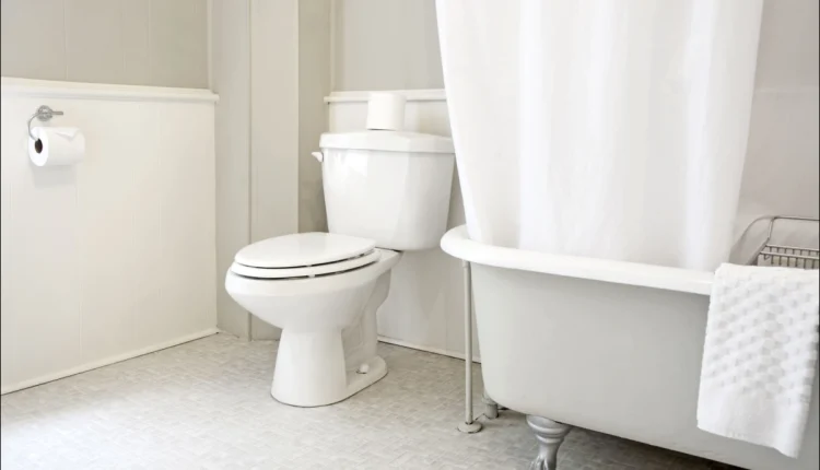 Tuvalet ve Duşakabin Taşı Nasıl Beyazlatılır2